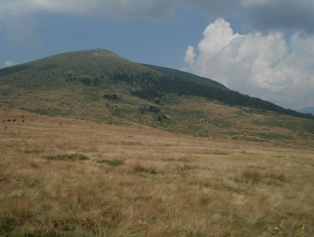 Царев връх