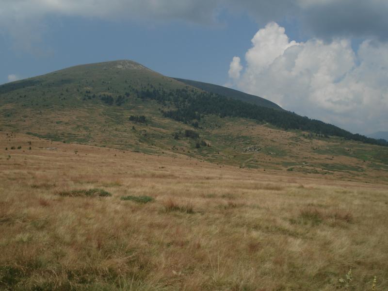  Царев връх (2376 м)